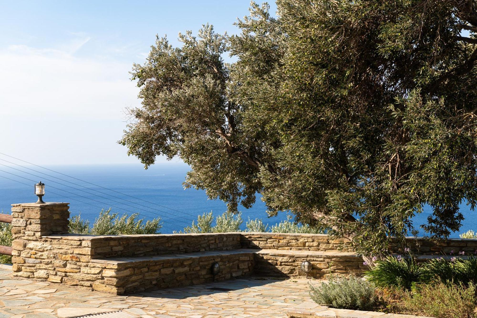Andros Serenity Retreat - Adults Only Episkopion  Exterior foto